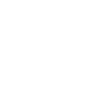 Die Realitystar Academy — Logos 1