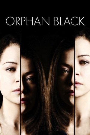 Click for trailer, plot details and rating of Orphan Black (2013)