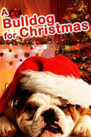 A Bulldog for Christmas