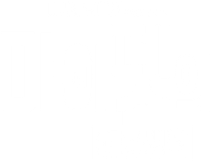 마이펫의 이중생활