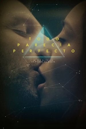 Poster Todo parecía perfecto (2014)