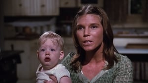 Die Waltons: 4×12