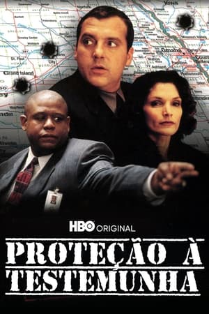 Poster Witness Protection 1999