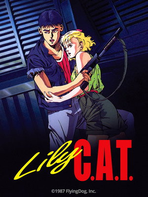 Lily C.A.T. 13
