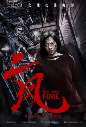 二凤 (2019)