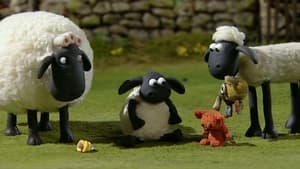 Shaun the Sheep Timmy in a Tizzy