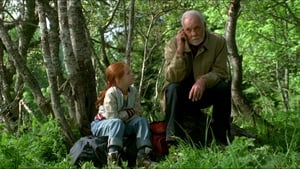 Der Schmetterling (2002)