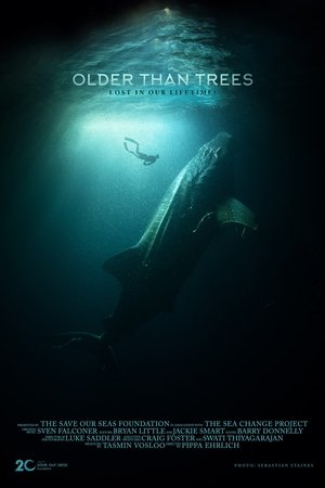 Nonton film Older Than Trees (2023) terbaru sub indo Nonton film Older Than Trees (2023) terbaru sub indo