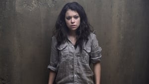 Orphan Black: 3×5