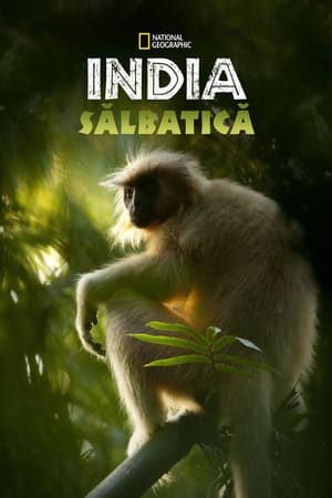 Image Secrets of Wild India