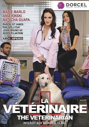 Poster La Vétérinaire (2016)