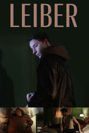 Poster Leiber 2014