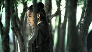 The Assassin (2015) Korea Derma Download Mp4 English Subbed