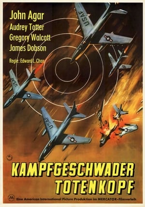 Kampfgeschwader Totenkopf 1958
