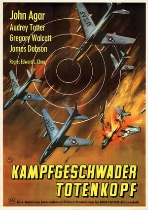 Image Kampfgeschwader Totenkopf