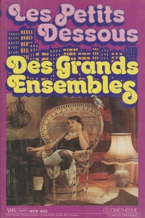 Poster Les petits dessous des grands ensembles (1976)