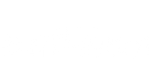 Meet Yourself — Logos 2