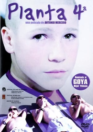 Poster Planta 4ª 2003