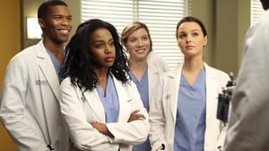 Grey’s Anatomy: 10 Temporada Episódio 19
