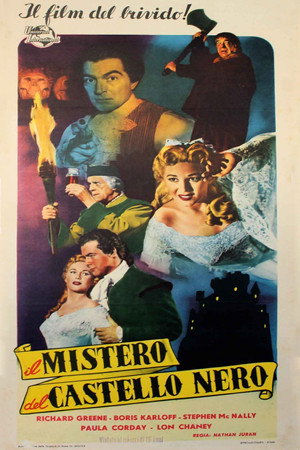 Il mistero del castello nero