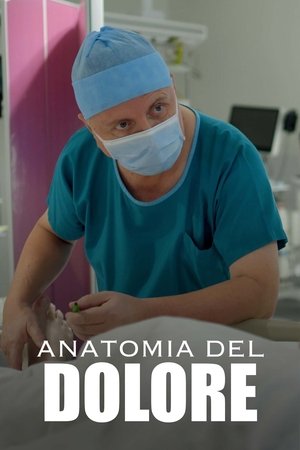 Image Anatomie de la douleur