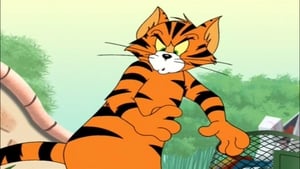 Tom and Jerry Tales Tiger Cat