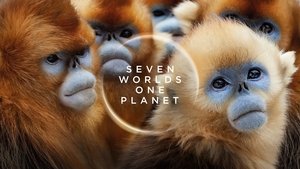 poster Seven Worlds, One Planet