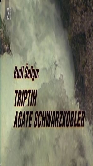 Poster Triptych of Agata Schwarzkobler 1997