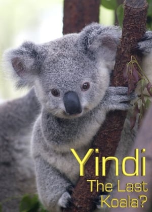 Poster Grainger's World: Yindi: The Last Koala? 2007