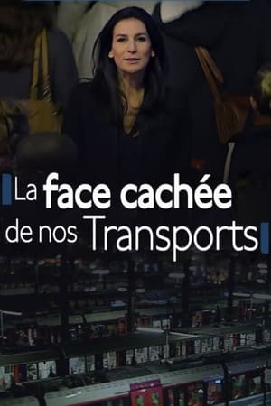 Poster Nous : La face cachée de nos transports (2015)