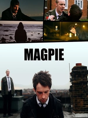 Poster Magpie (2013)