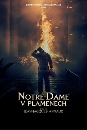 Notre-Dame v plamenech 2022