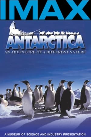 Poster Antarctica: An Adventure of a Different Nature 1991