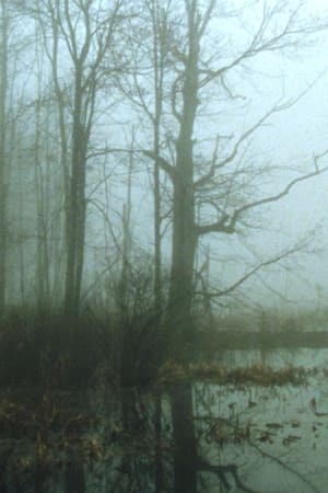 Poster Early Spring Wetlands (2023)