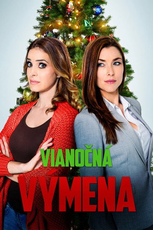 A Christmas Switch 14