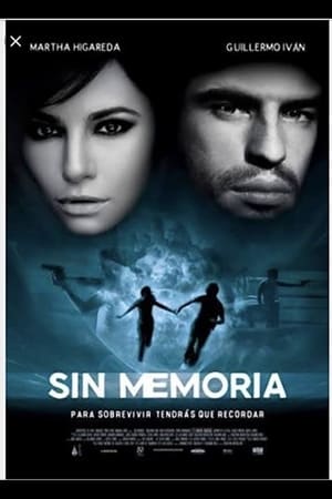 Sin Memoria poster
