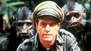 Tales of the Gold Monkey (1982) – Television