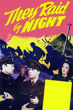 Poster They Raid by Night (1942)