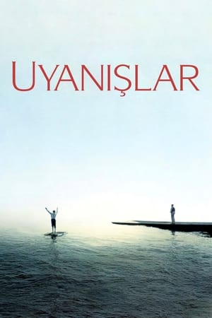 Poster Uyanışlar 1990