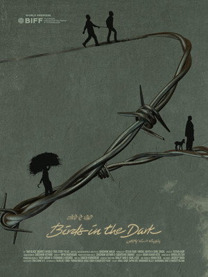 Birds in the Dark 3