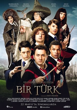 Poster Sihirbazlık Okulunda Bir Türk (2015)