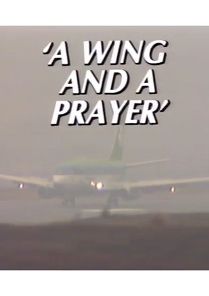 Image 'A Wing and a Prayer' - The Story of Knock Airport