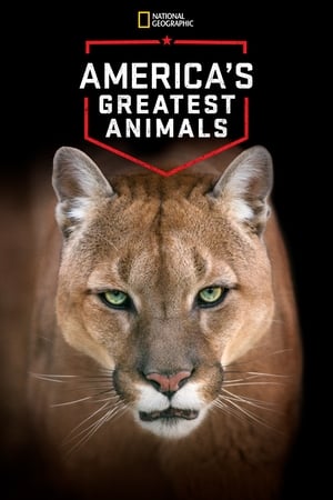Poster America's Greatest Animals (2012)