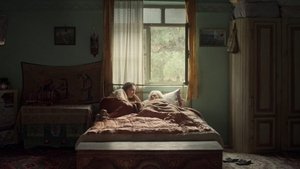 Cici ( 2022 )