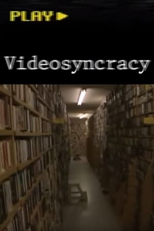 Poster Videosyncracy (2010)