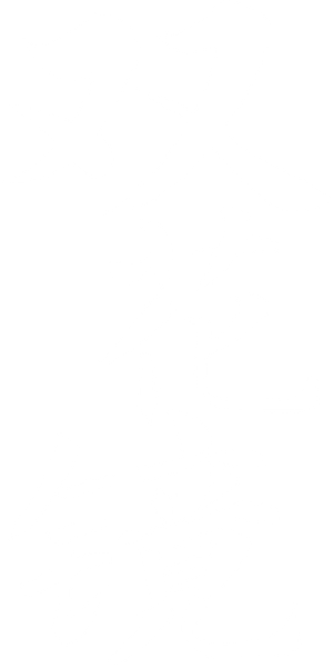 双花镜 — Logos 3