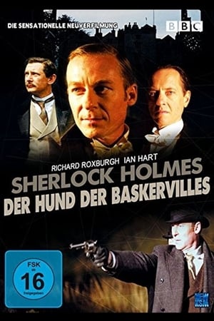 Poster Der Hund der Baskervilles 2002