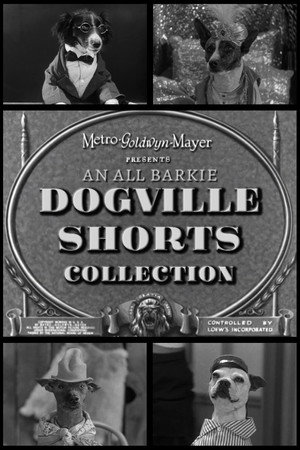 Dogville Shorts Collection