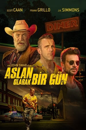 Image Aslan Olarak Bir Gün