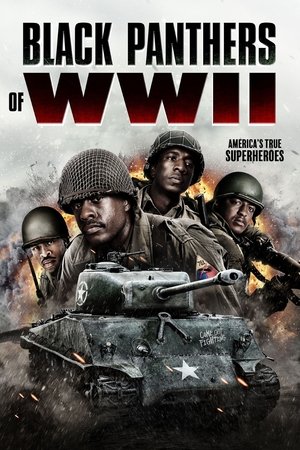 The Black Panthers of WW2 - Season 1